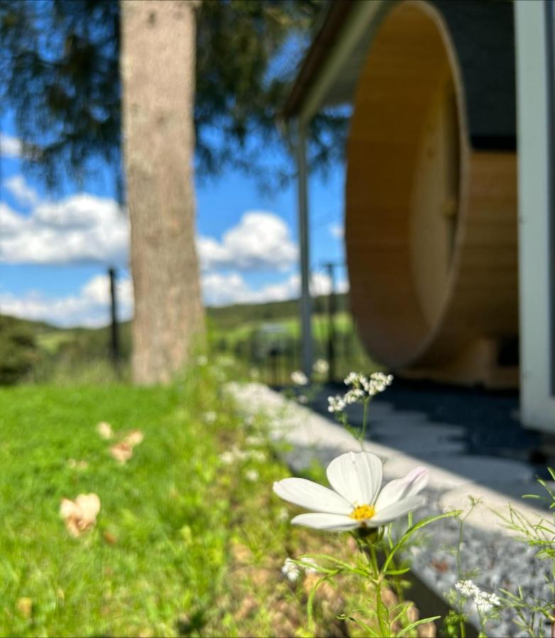 Chalet Panor'Anna St. Vith Екстериор снимка